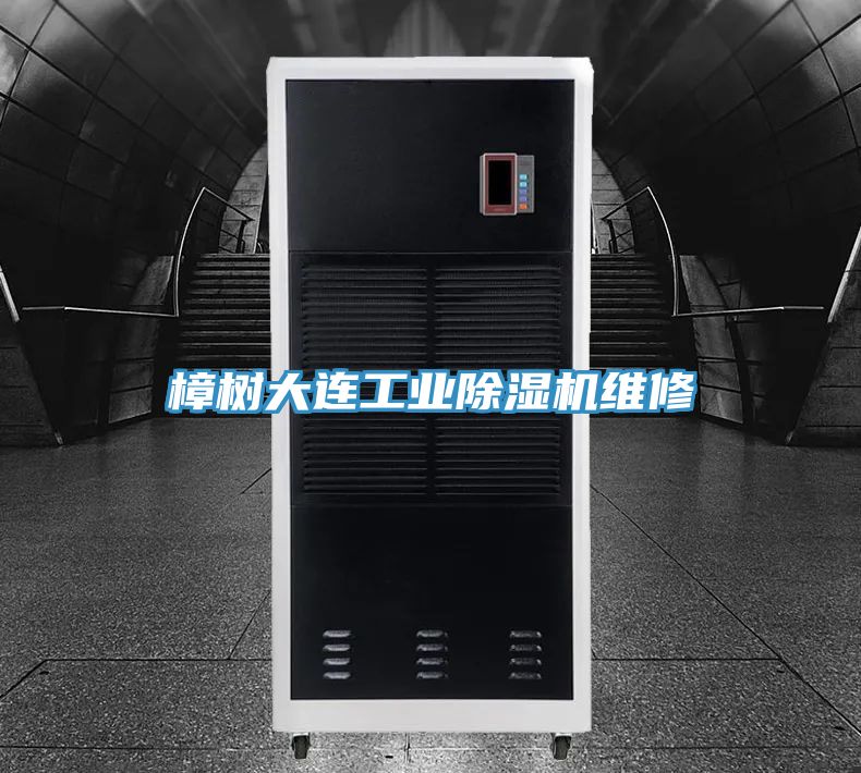 樟树大连工业抖音成人版下载维修