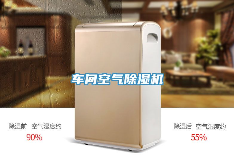 车间空气抖音成人版下载