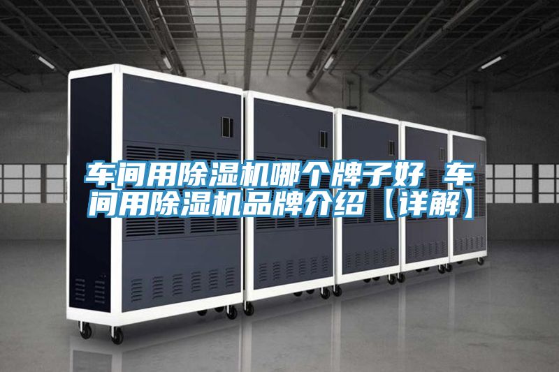 车间用抖音成人版下载哪个牌子好 车间用抖音成人版下载品牌介绍【详解】