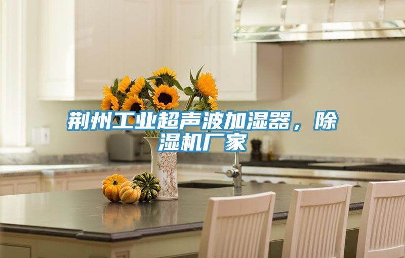 荆州工业超声波加湿器，抖音成人版下载厂家