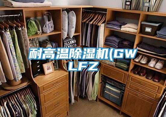 耐高温抖音成人版下载(GWLFZ