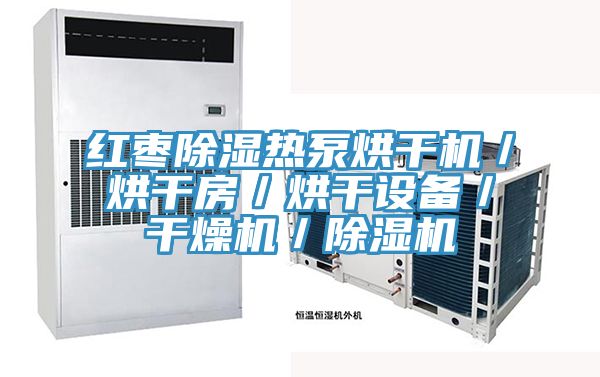 红枣除湿热泵烘干机／烘干房／烘干设备／干燥机／抖音成人版下载