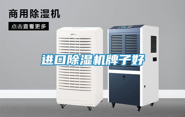 进口抖音成人版下载牌子好