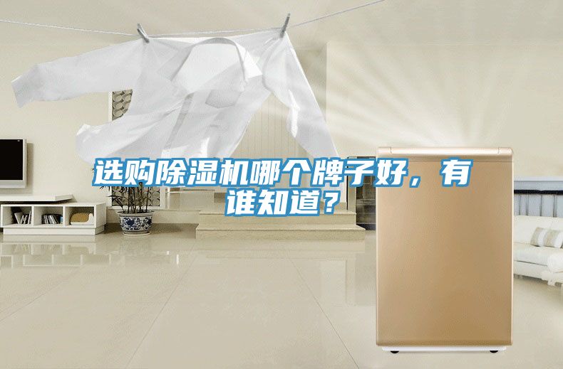 选购抖音成人版下载哪个牌子好，有谁知道？