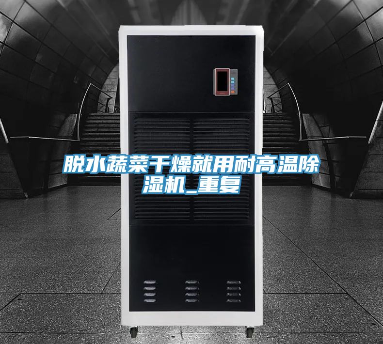 脱水蔬菜干燥就用耐高温抖音成人版下载_重复