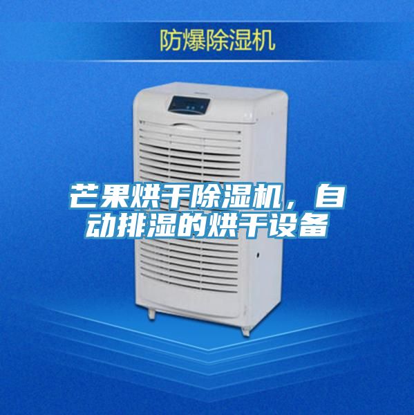 芒果烘干抖音成人版下载，自动排湿的烘干设备