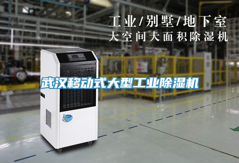 武汉移动式大型工业抖音成人版下载