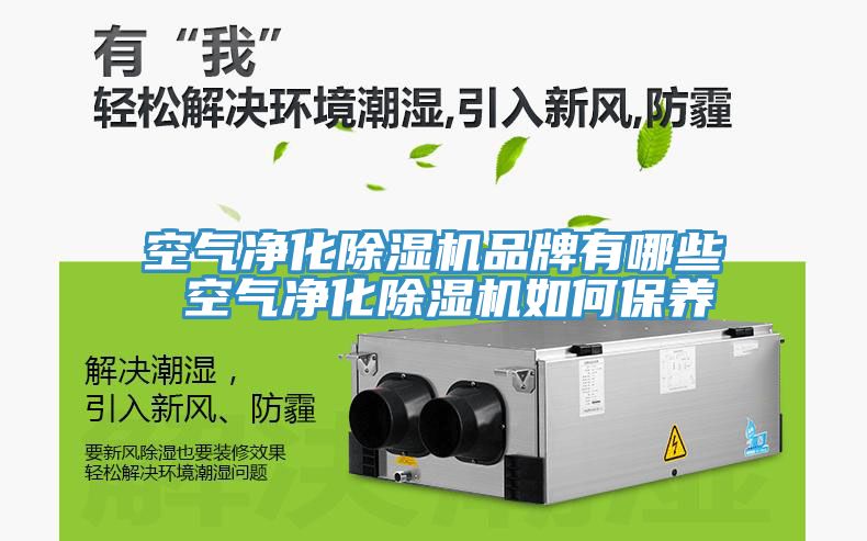 空气净化抖音成人版下载品牌有哪些 空气净化抖音成人版下载如何保养