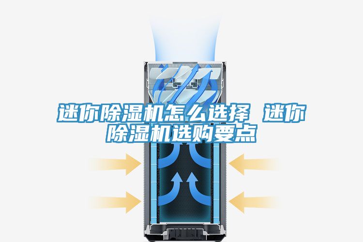 迷你抖音成人版下载怎么选择 迷你抖音成人版下载选购要点