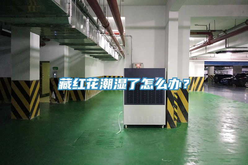 藏红花潮湿了怎么办？