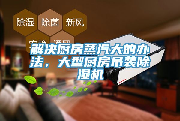 解决厨房蒸汽大的办法，大型厨房吊装抖音成人版下载