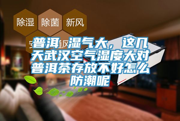 普洱 湿气大，这几天武汉空气湿度大对普洱茶存放不好怎么防潮呢