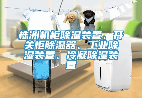 株洲机柜除湿装置、开关柜除湿器、工业除湿装置、冷凝除湿装置