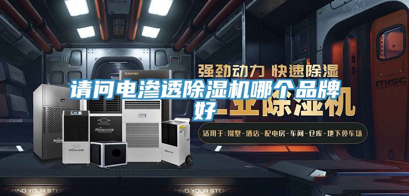 请问电渗透抖音成人版下载哪个品牌好