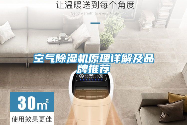 空气抖音成人版下载原理详解及品牌推荐