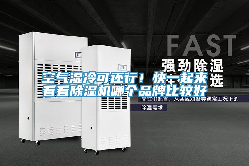 空气湿冷可还行！快一起来看看抖音成人版下载哪个品牌比较好