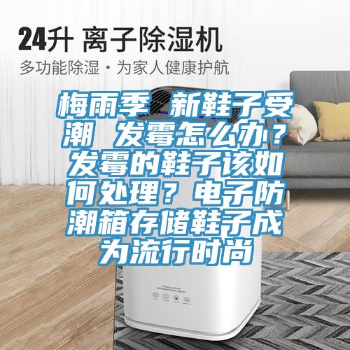 梅雨季 新鞋子受潮 发霉怎么办？发霉的鞋子该如何处理？电子防潮箱存储鞋子成为流行时尚