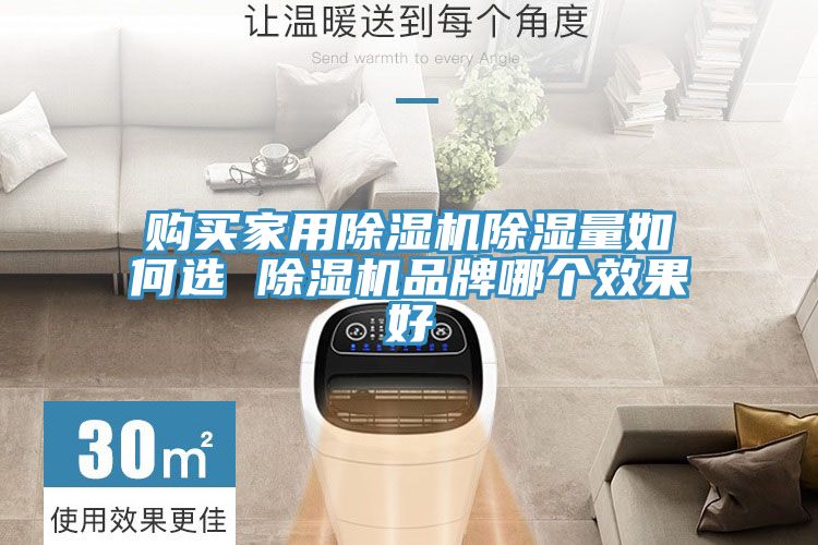 购买家用抖音成人版下载除湿量如何选 抖音成人版下载品牌哪个效果好