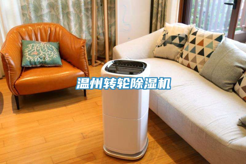 温州转轮抖音成人版下载