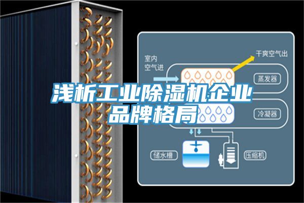 浅析工业抖音成人版下载企业品牌格局
