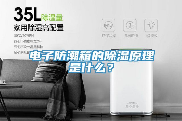 电子防潮箱的除湿原理是什么？