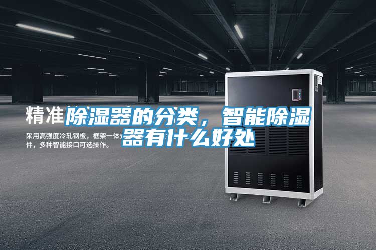 除湿器的分类，智能除湿器有什么好处