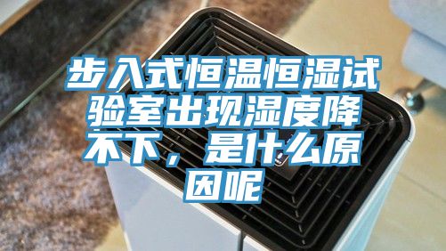 步入式恒温恒湿试验室出现湿度降不下，是什么原因呢