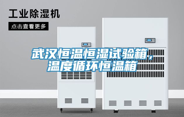 武汉恒温恒湿试验箱，温度循环恒温箱