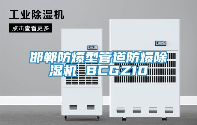 邯郸防爆型管道防爆抖音成人版下载 BCGZ10