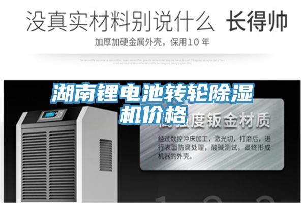 湖南锂电池转轮抖音成人版下载价格