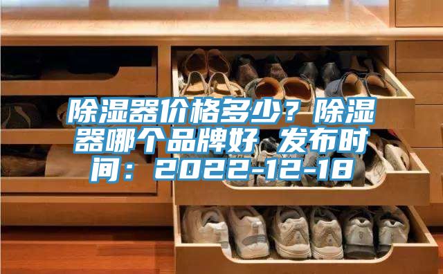 除湿器价格多少？除湿器哪个品牌好 发布时间：2022-12-18