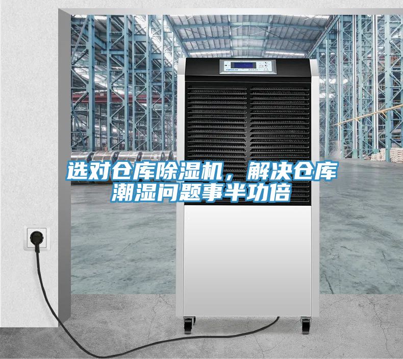 选对仓库抖音成人版下载，解决仓库潮湿问题事半功倍