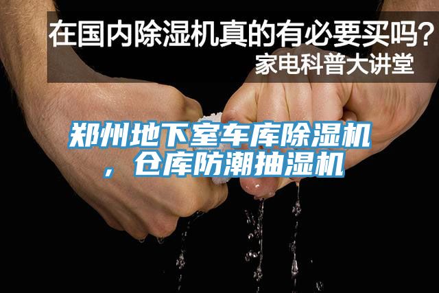郑州地下室车库抖音成人版下载，仓库防潮抽湿机