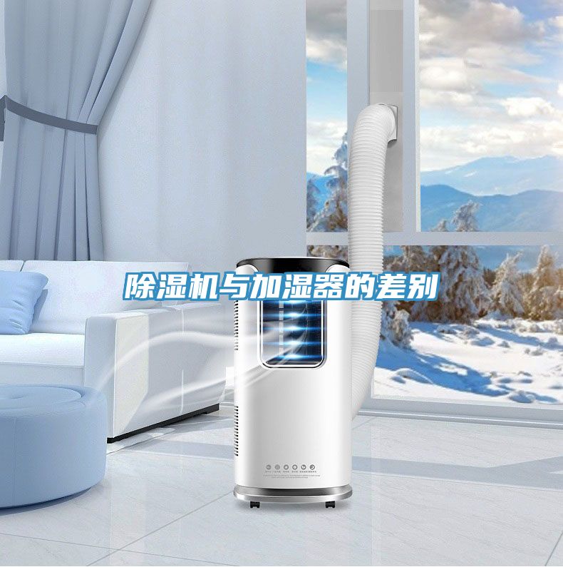 抖音成人版下载与加湿器的差别