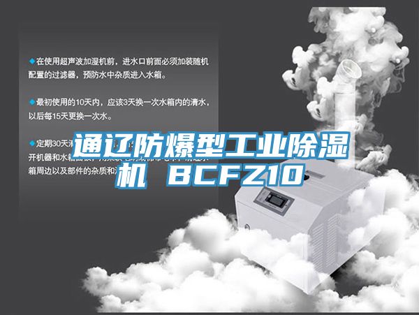通辽防爆型工业抖音成人版下载 BCFZ10