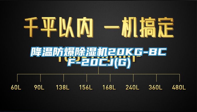 降温防爆抖音成人版下载20KG-BCF-20CJ(G)
