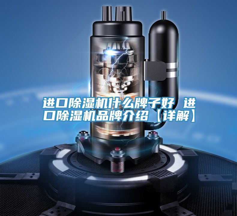 进口抖音成人版下载什么牌子好 进口抖音成人版下载品牌介绍【详解】