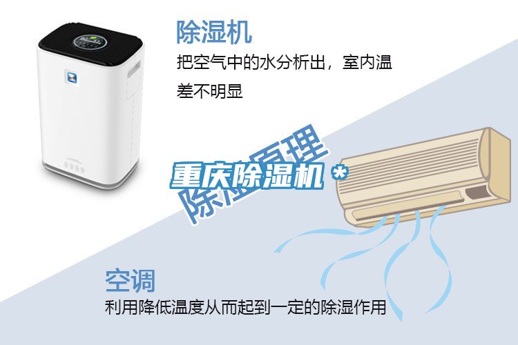 重庆抖音成人版下载＊