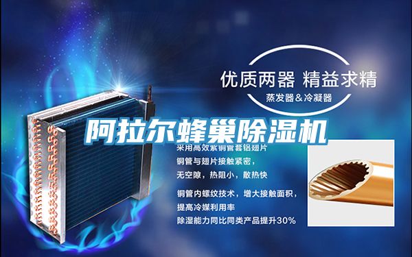 阿拉尔蜂巢抖音成人版下载