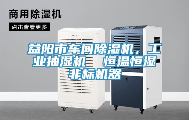 益阳市车间抖音成人版下载，工业抽湿机  恒温恒湿非标机器