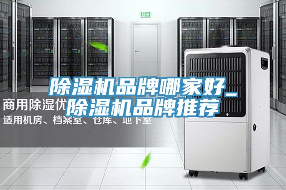 抖音成人版下载品牌哪家好_抖音成人版下载品牌推荐