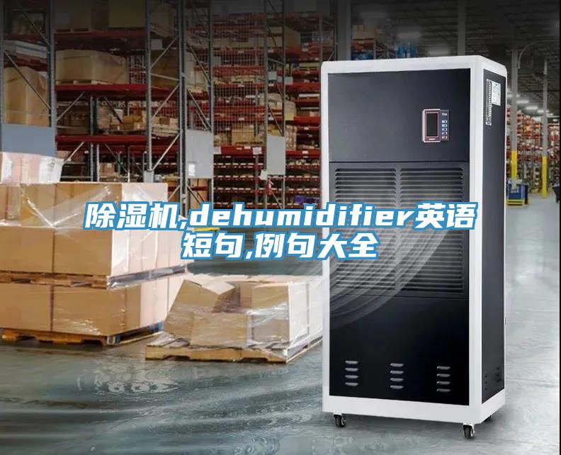 抖音成人版下载,dehumidifier英语短句,例句大全