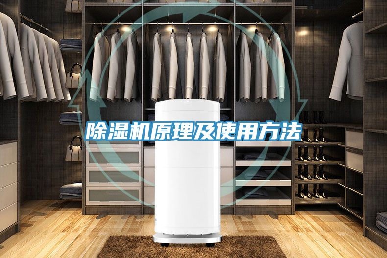 抖音成人版下载原理及使用方法