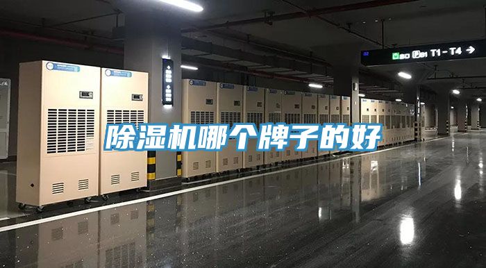 抖音成人版下载哪个牌子的好