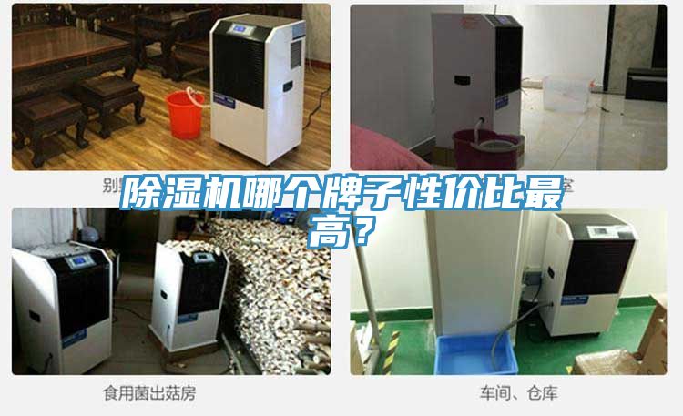 抖音成人版下载哪个牌子性价比最高？