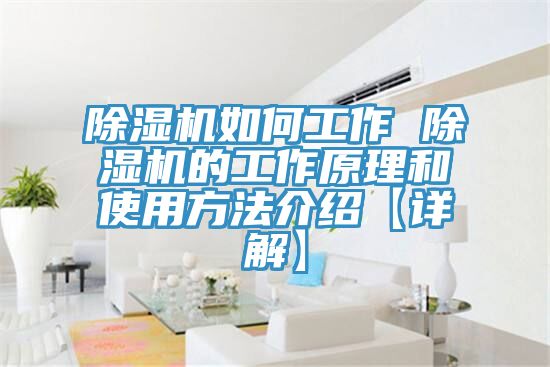 抖音成人版下载如何工作 抖音成人版下载的工作原理和使用方法介绍【详解】