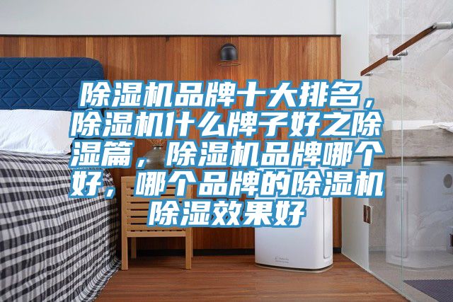 抖音成人版下载品牌十大排名，抖音成人版下载什么牌子好之除湿篇，抖音成人版下载品牌哪个好，哪个品牌的抖音成人版下载除湿效果好