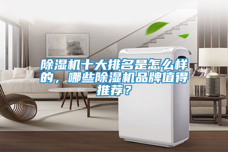 抖音成人版下载十大排名是怎么样的，哪些抖音成人版下载品牌值得推荐？