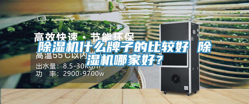 抖音成人版下载什么牌子的比较好 抖音成人版下载哪家好？