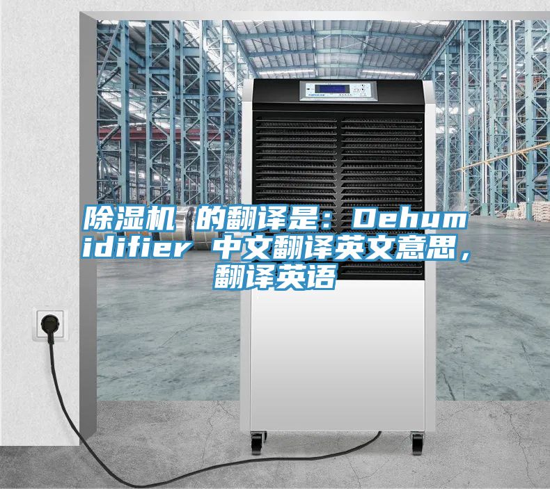抖音成人版下载 的翻译是：Dehumidifier 中文翻译英文意思，翻译英语
